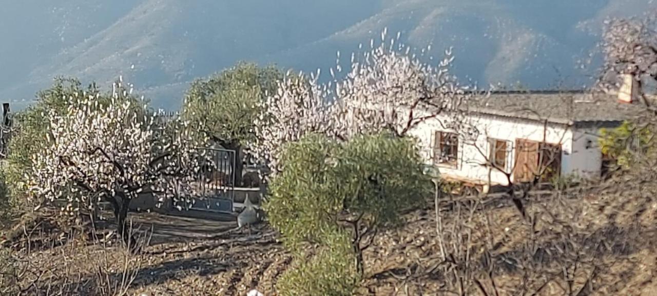 Cortijo Blanco Villa Albondon Ngoại thất bức ảnh