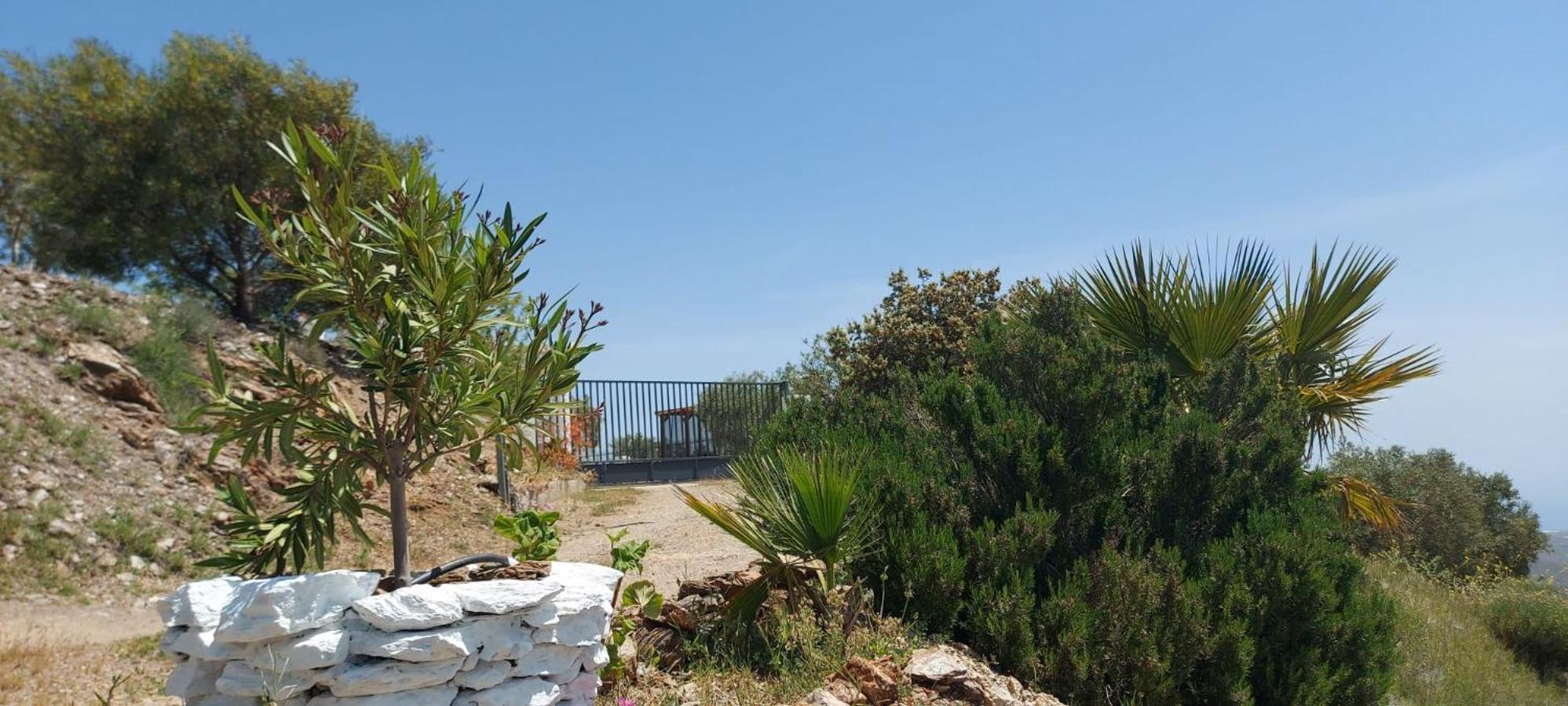 Cortijo Blanco Villa Albondon Ngoại thất bức ảnh