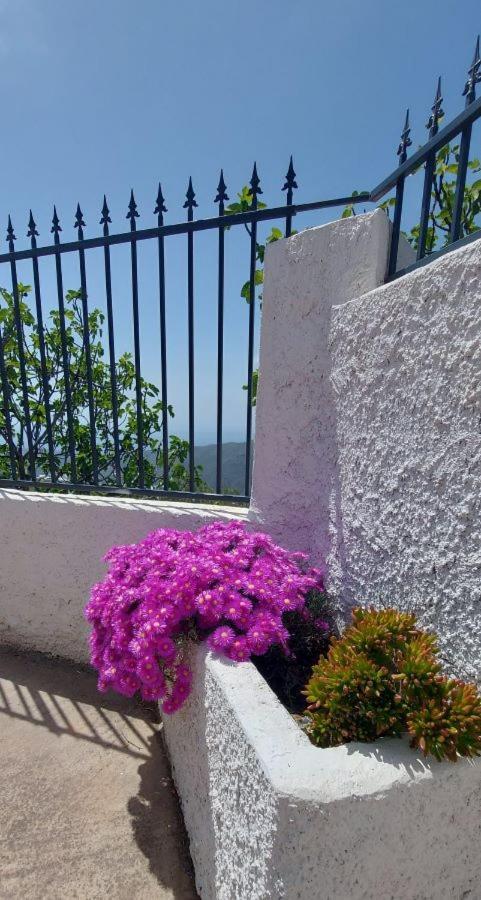 Cortijo Blanco Villa Albondon Ngoại thất bức ảnh